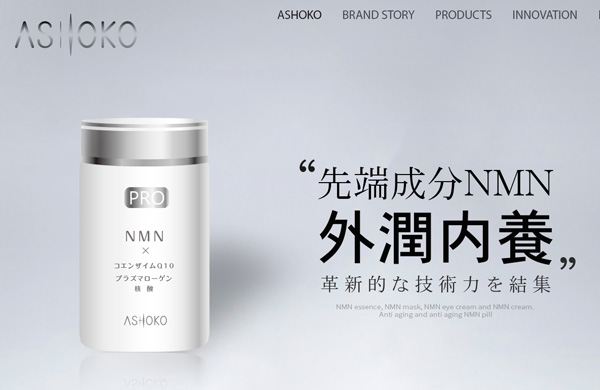 Ashoko品牌网站建设开发