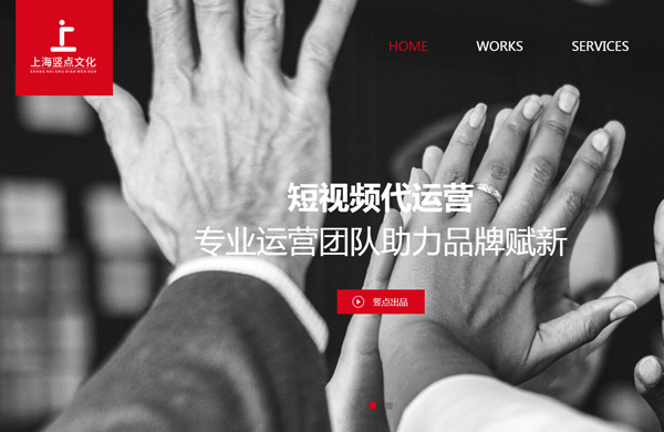 上海竖点文化传播网站建设开发项目