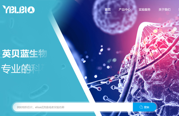 上海英贝蓝生物公司网站设计完工上线