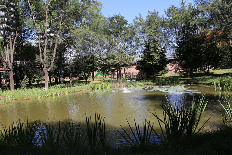 潮白陵园防汛工作现场 潮白陵园防汛工作现场