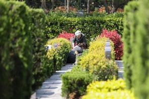 市民祭扫现场 市民祭扫现场