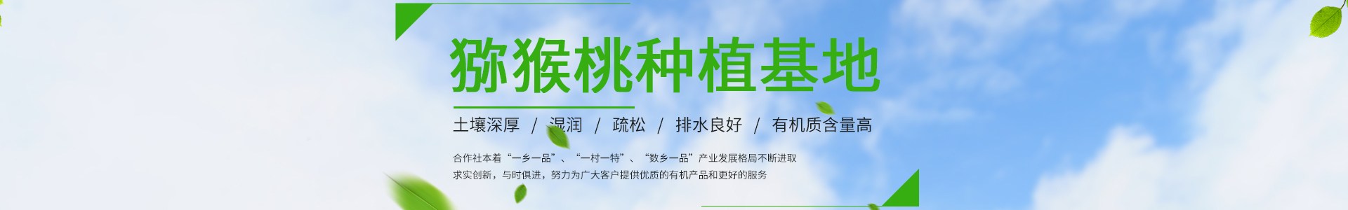 蔬菜果蔬鲜果配送类网站设计模板