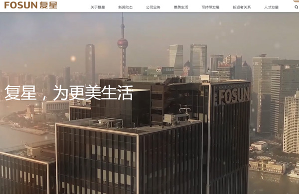 复星集团网站设计开发完工
