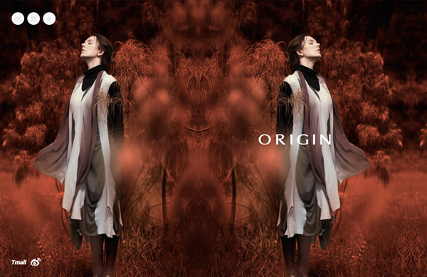ORIGIN安瑞井网站设计项目