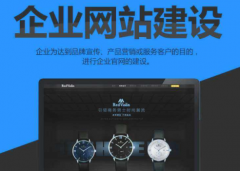 公司为什么要做网站建设开发?
