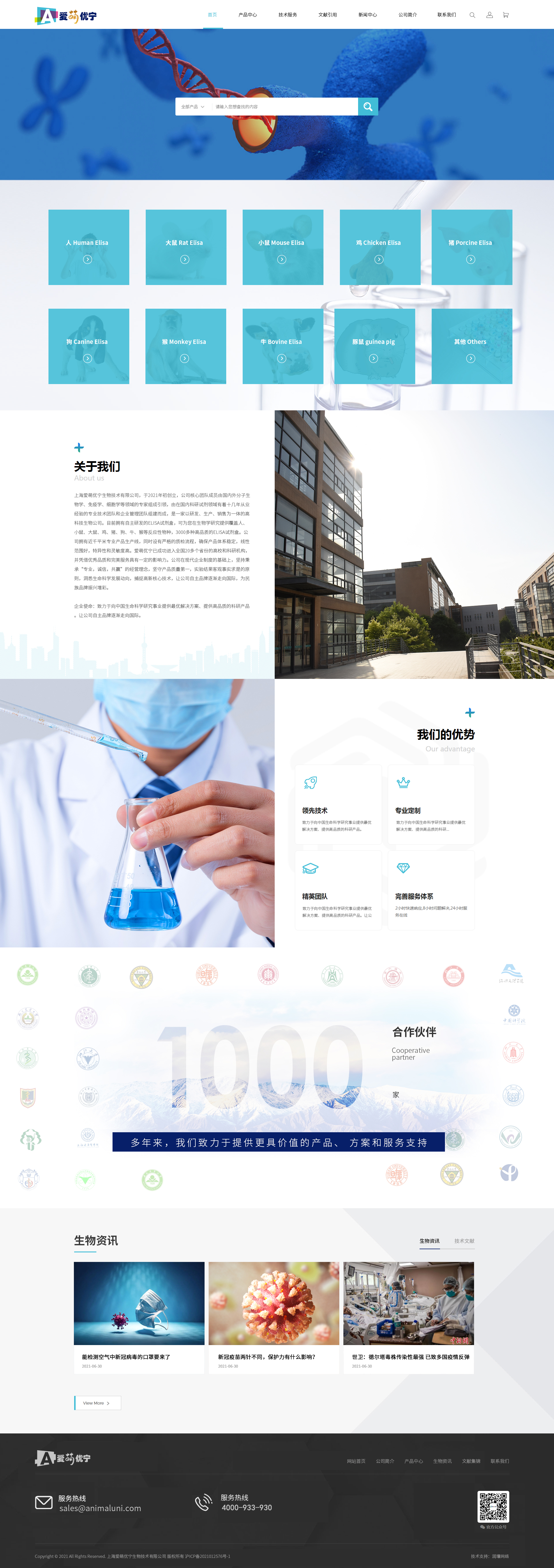 上海网站设计公司