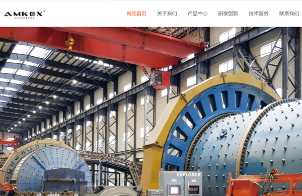 埃麦苛斯（上海）网站建设项目