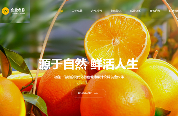 果蔬饮料农产品网站开发模板