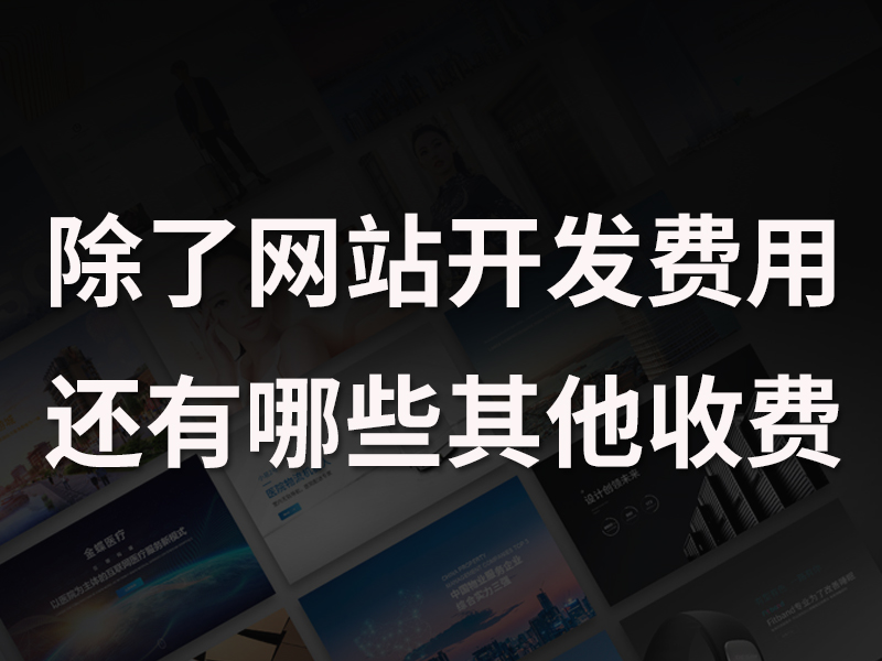 除了网站开发费用，还有哪些其他收费？